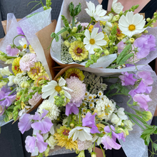 Load image into Gallery viewer, Monthly Subscription: May - September