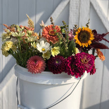Load image into Gallery viewer, Bulk Bucket
