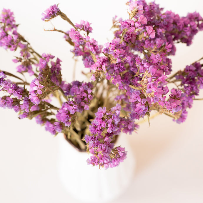 Purple statice flower. Naturally dried florals.