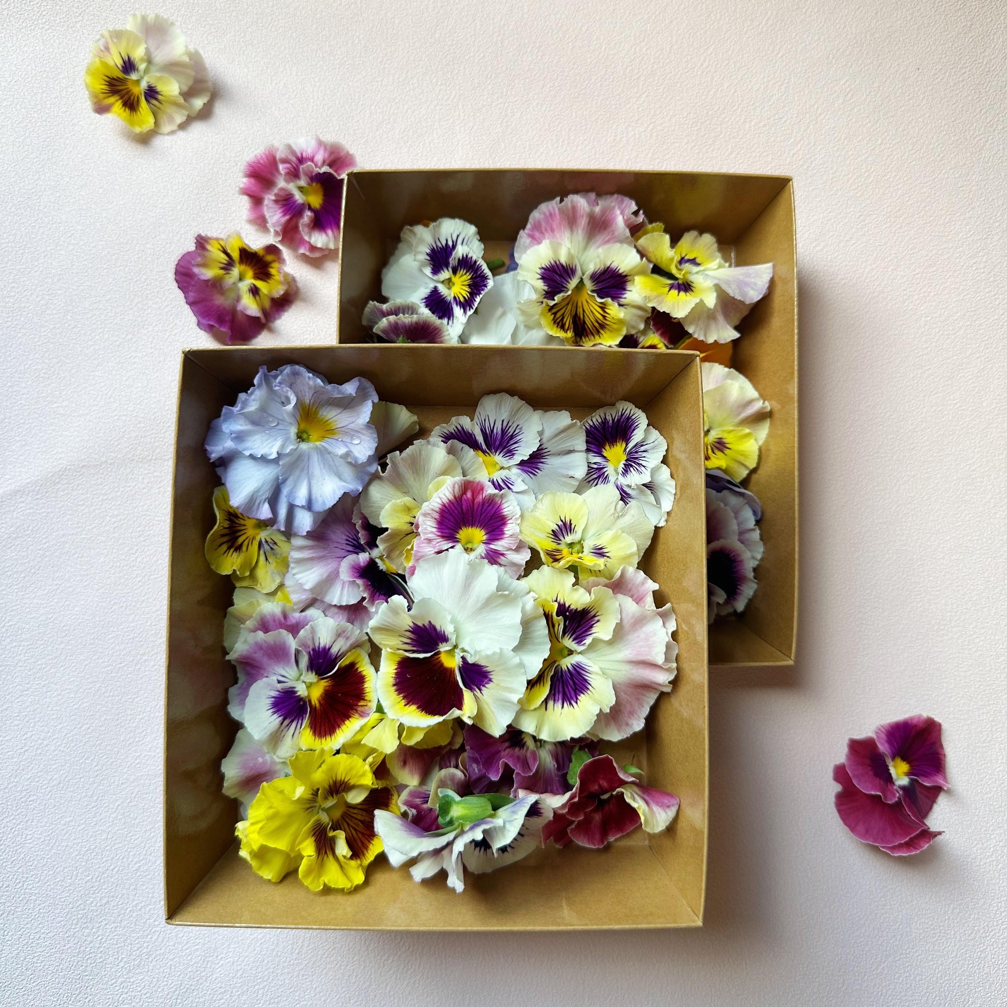 Pressed Pansy Edible Flowers, Edible Flower Decorations